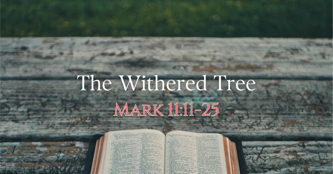 The Withered Tree 