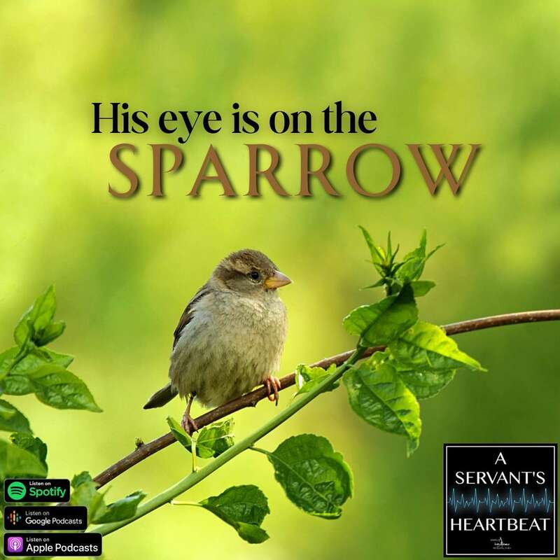His Eye is on the Sparrow