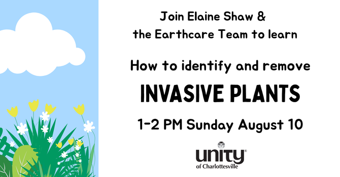 Identify & Remove Invasive Plants
