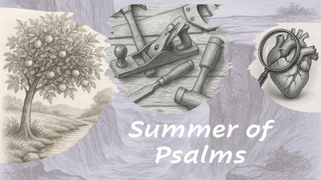 Summer of Psalms
