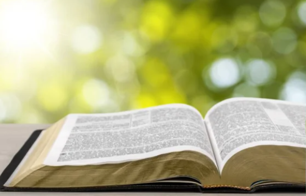 The readings for Sunday, July 20, 2025