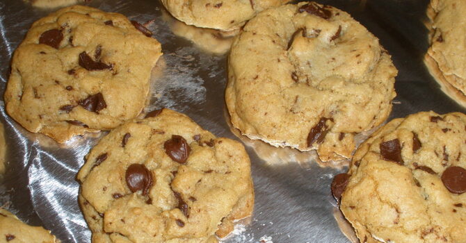 Fellowship Events April 2022 image