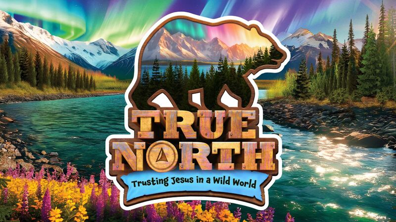 Finding True North