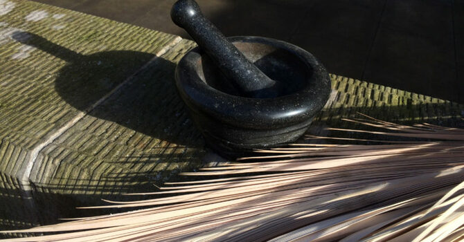 Ash Wednesday 2022 image