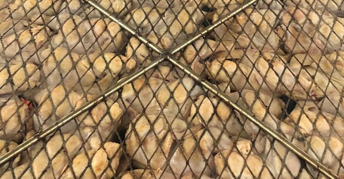 Chicken BBQ Tickets 2022 image