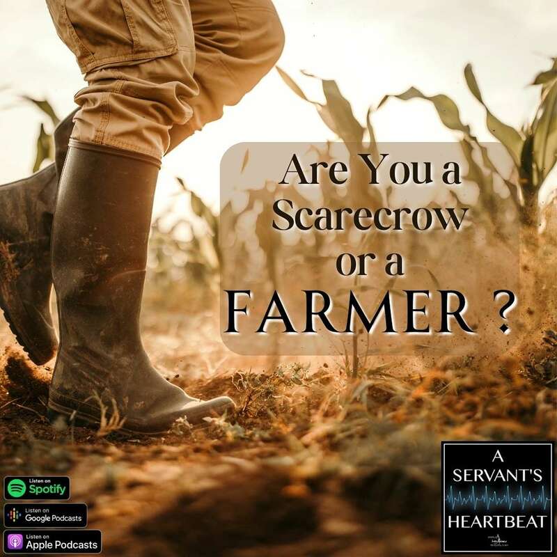 Are You a Scarecrow or a Farmer?