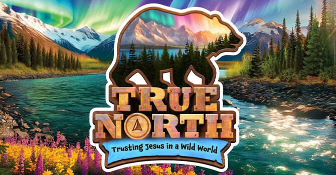 Finding True North