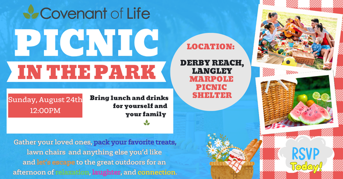 Picnic in the Park