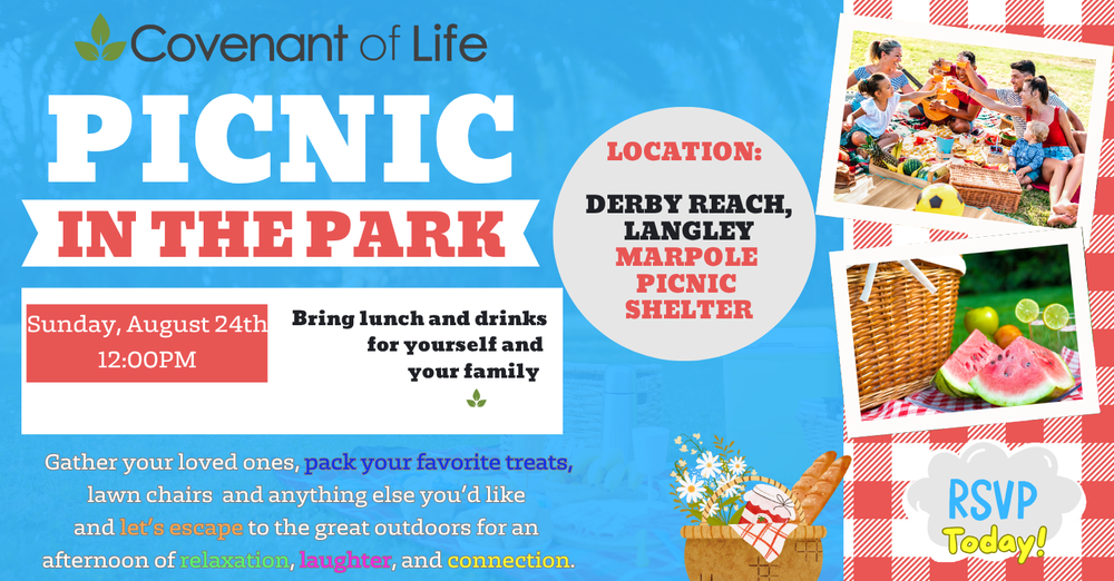 Picnic in the Park