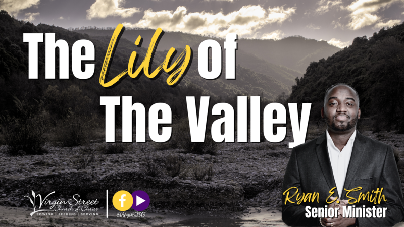 "The Lily of the Valley"