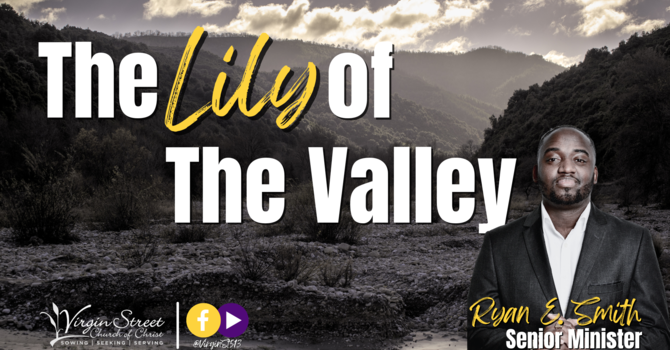 "The Lily of the Valley"