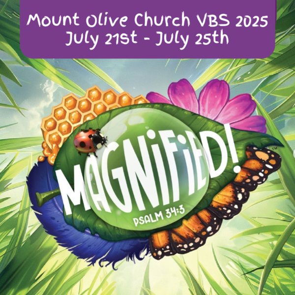 LAST CHANCE TO SIGN UP FOR VBS 2025