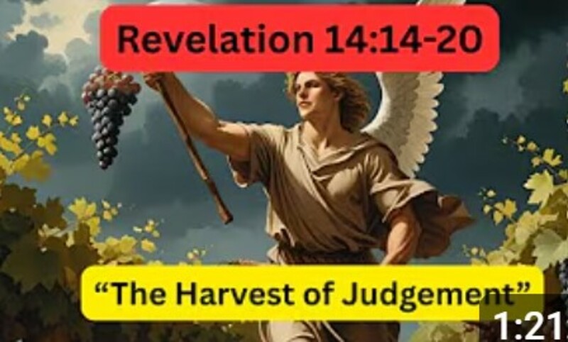 The Harvest of Judgement