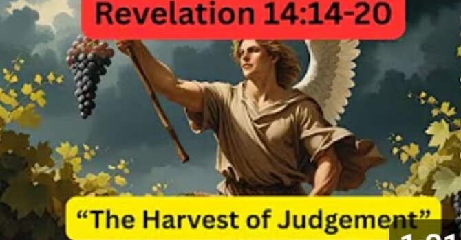 The Harvest of Judgement