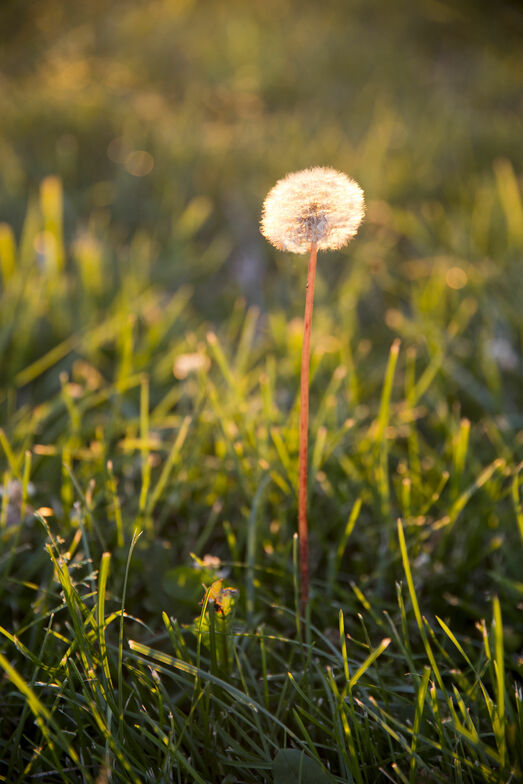 Slideshow image