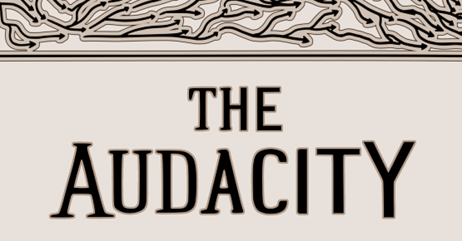 The Audacity to Wrestle image