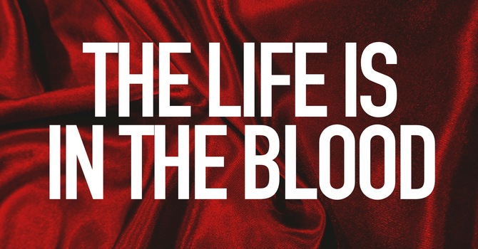 Life Is In The Blood