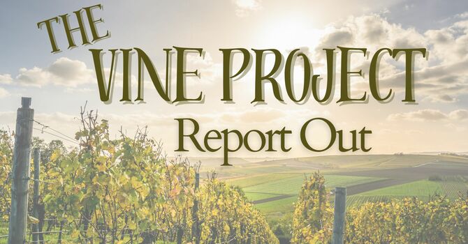 Report Out from The Vine Project