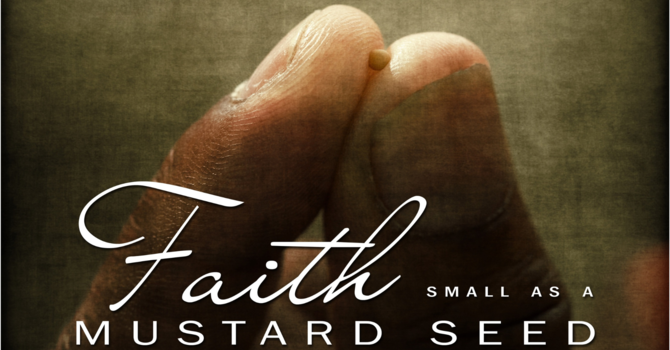 Faith the Size of a Mustard Seed image