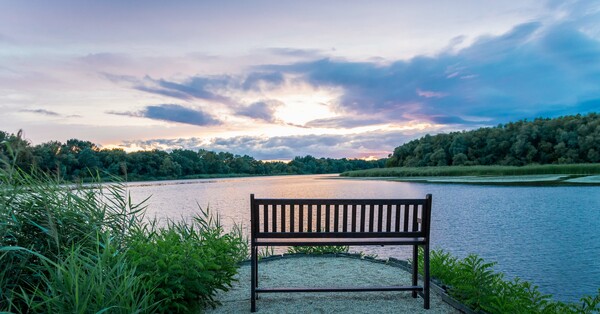 Communications Director Departing in August