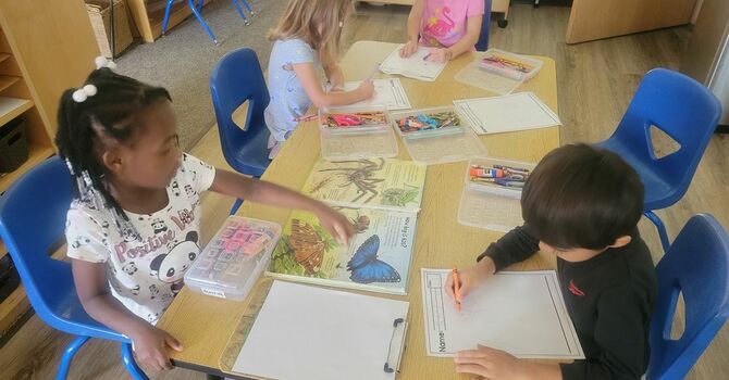 Kindergarten