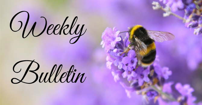 Bulletin for July 19 & 20, 2025 image