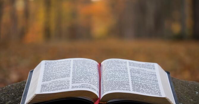 Adult Bible Study