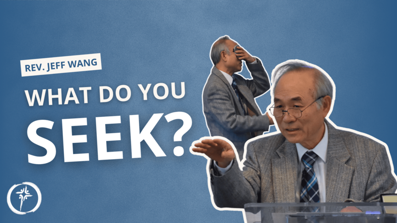 What Do You Seek?