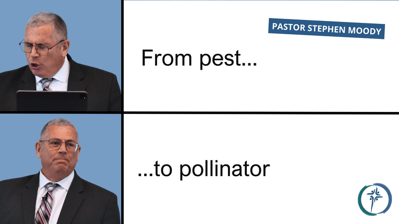 From Pest to Pollinator