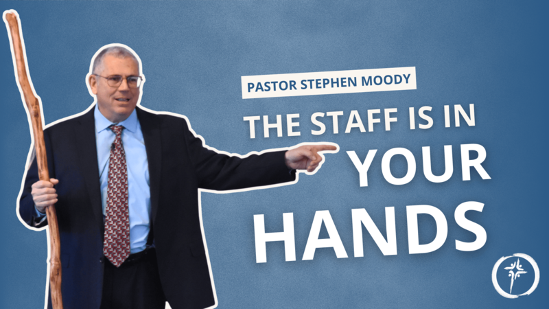 The Staff Is In Your Hands