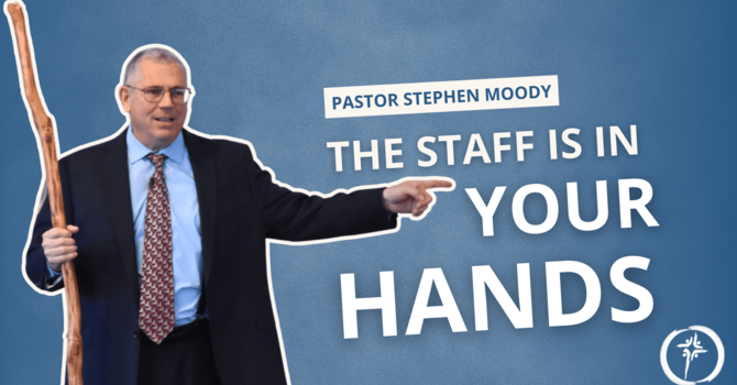 The Staff Is In Your Hands