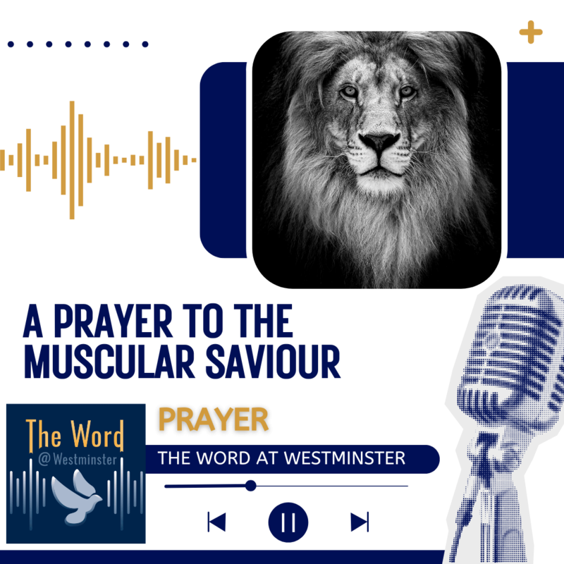 A prayer to the muscular Saviour