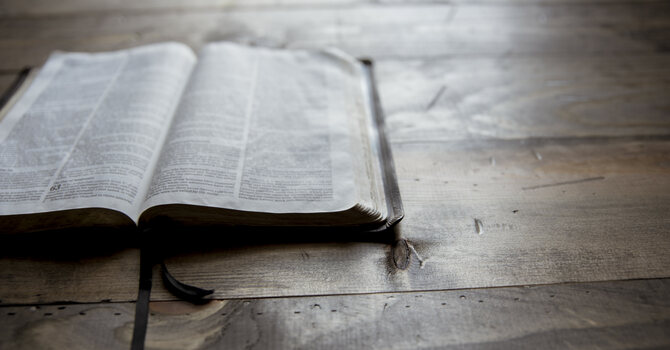 Report: Bible Engagement Increases Among Men and Millennials 