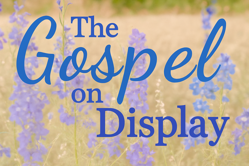 The Gospel On Display