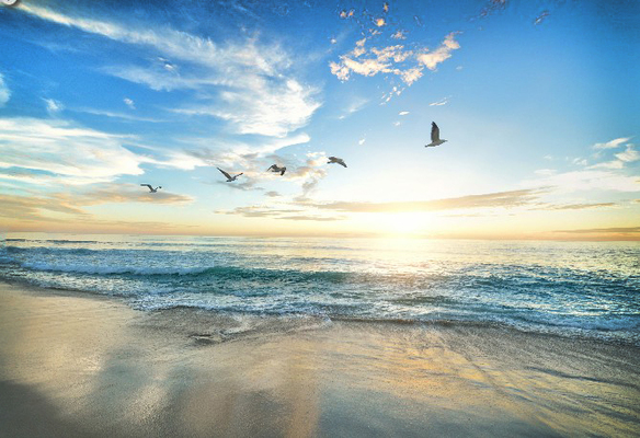 FAITH AND FAMILY (Beach)