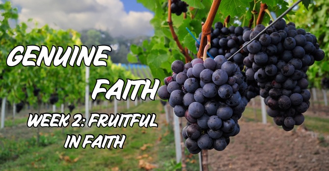 Genuine Faith - Week 2