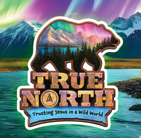 True North