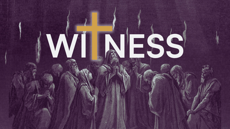 Witness