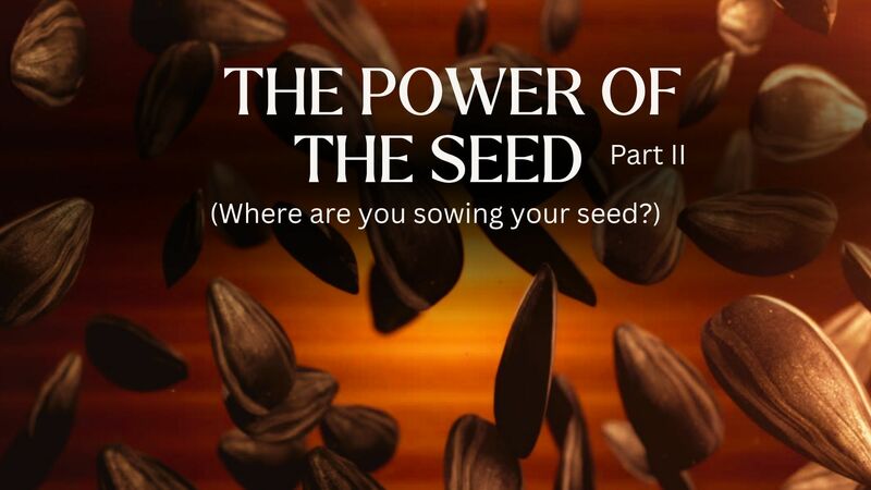 The Power Of The Seed, Part II (Where are you sowing your seed?)