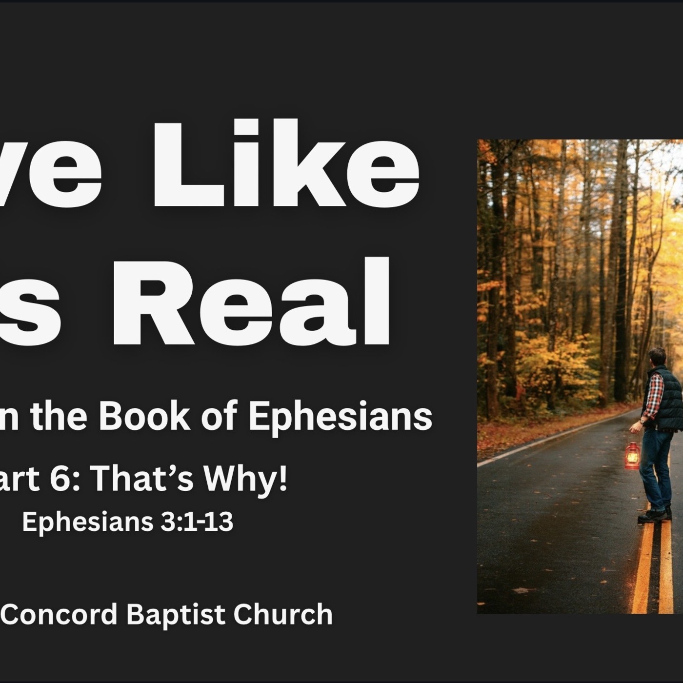 That's Why! That's Why!