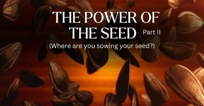 The Power Of The Seed, Part II (Where are you sowing your seed?)
