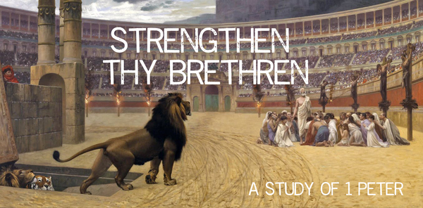 Strengthen Thy Brethren
