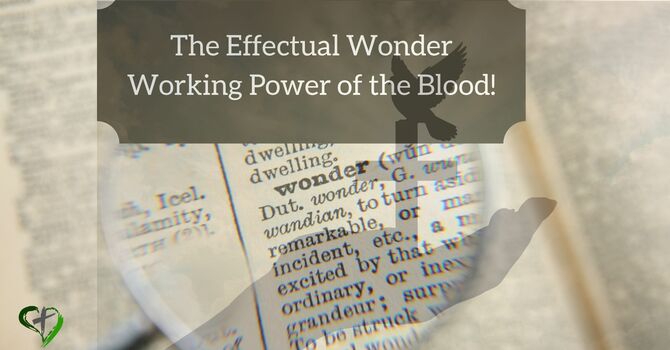 The Effectual Wonder Working Power of the Blood!