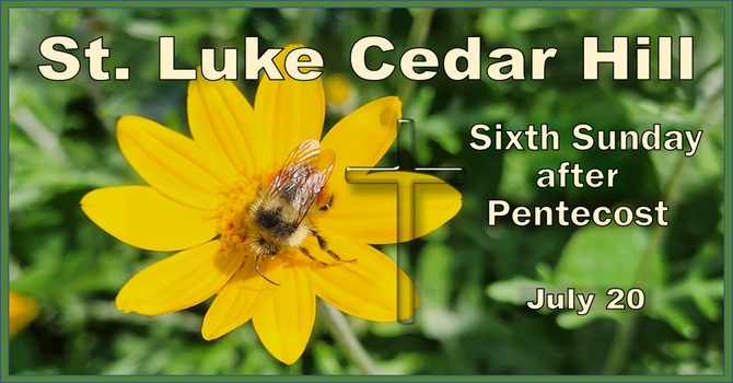 A Recording of this Sunday's Service (July 20th) is Now Available