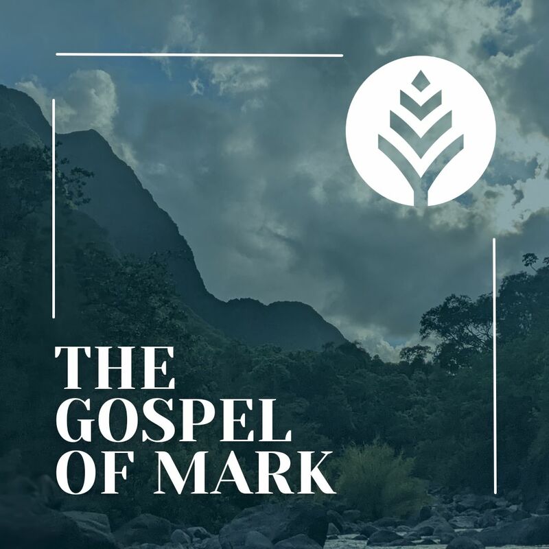 Mark 11:12-26