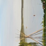 nav image
