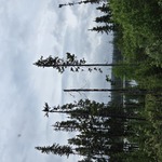 nav image