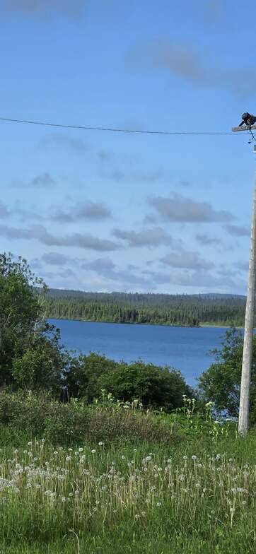 Slideshow image