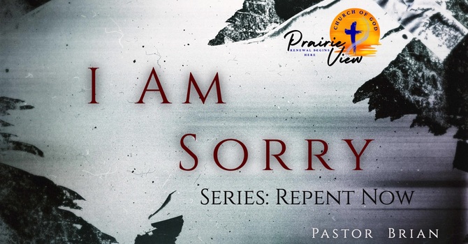 I Am Sorry