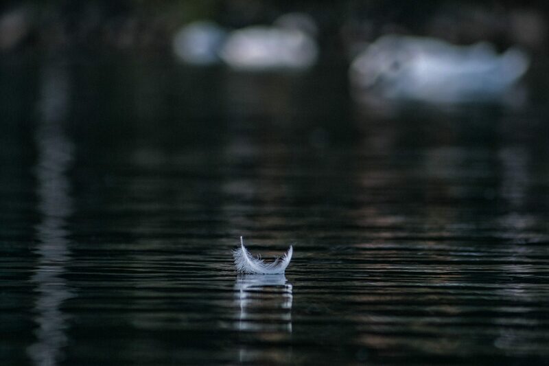 Meeting Christ in the Stillness